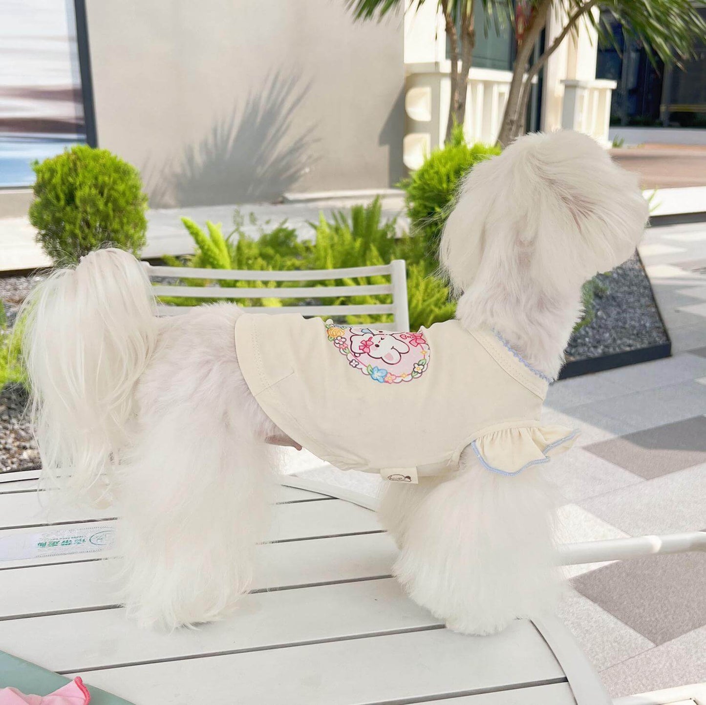 Pet Dog T-Shirt For Spring And Summer Is An Ultra-Thin