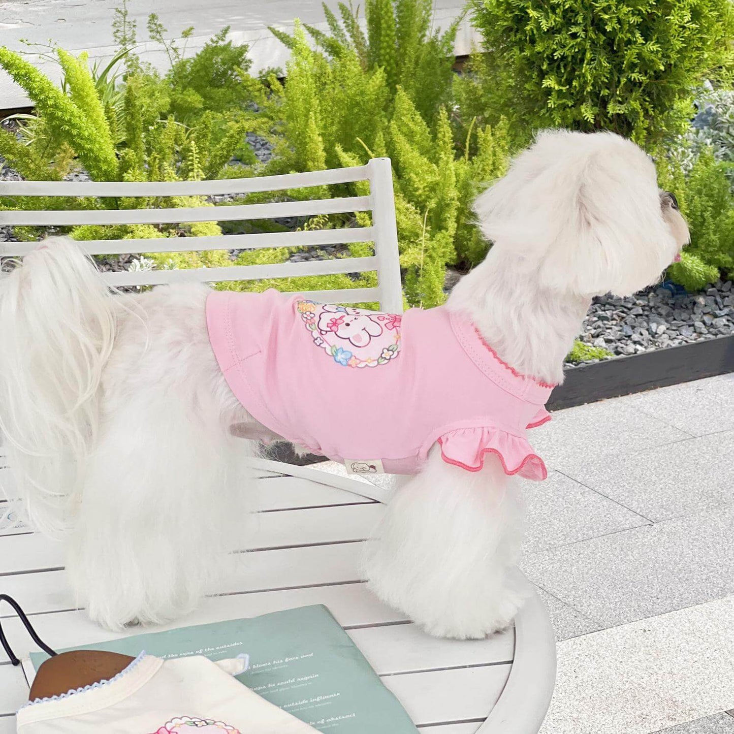 Pet Dog T-Shirt For Spring And Summer Is An Ultra-Thin